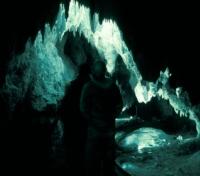 Waitomo Glow-worm Cave
